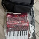 Horse 25 Key 16 Bass Red Marble Pattern Accordion