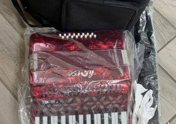 Horse 25 Key 16 Bass Red Marble Pattern Accordion
