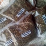 ARABICA AND ROBUSTA COFFEE BEANS