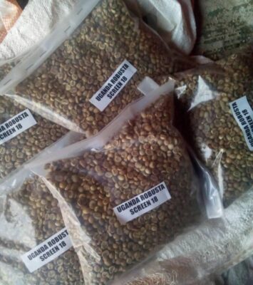 ARABICA AND ROBUSTA COFFEE BEANS