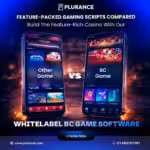 Launch a Multi-Game Platform with BC Game Clone App