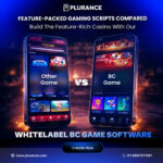 Launch a Multi-Game Platform with BC Game Clone App