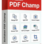 Remove Password from PDF Without Losing Formatting