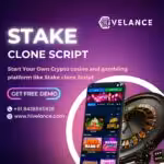 Step By Step Guide To Build Your Stake Clone Script Developm