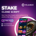 Step By Step Guide To Build Your Stake Clone Script Developm