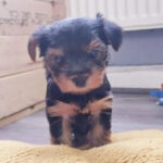 Avatar of darren heins