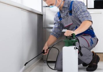 Hire a Pest Control Exterminator In Karachi