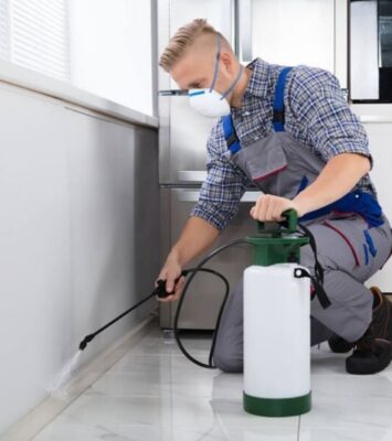 Hire a Pest Control Exterminator In Karachi