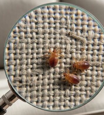 Bug Service