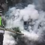 Mosquito Control Service