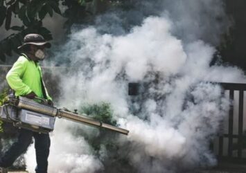 Mosquito Control Service