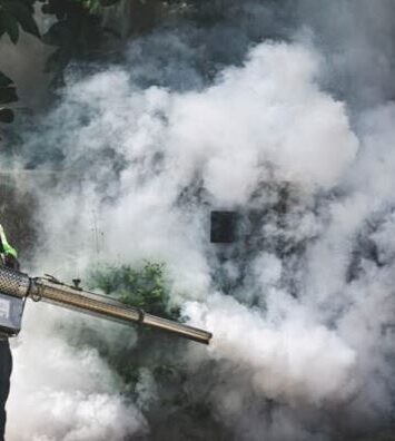Mosquito Control Service