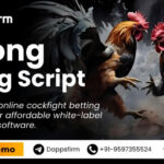 Maximize Business Potential with a Customizable Sabong
