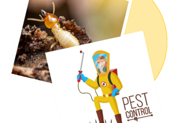 Sorna Valli Pest Control