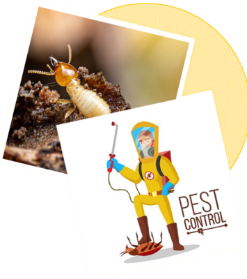 Sorna Valli Pest Control