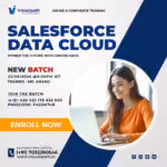 Salesforce Data Cloud Course | Salesforce Data Cloud Trainin