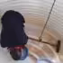 Residential Water Tank Cleaning