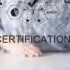 What Are ISO Certifications, and Why Do They Matter for Org